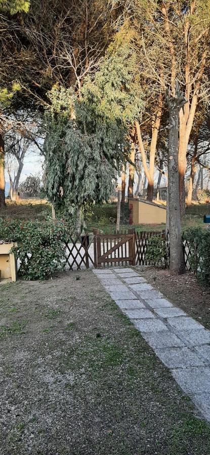 Albachiara Villa Castiglione del Lago Exterior photo